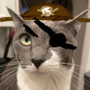 Meet your Posher, Rocco